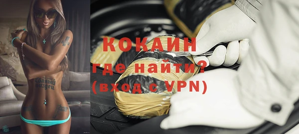 индика Лихославль