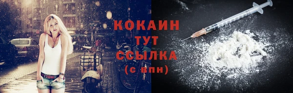 индика Лихославль