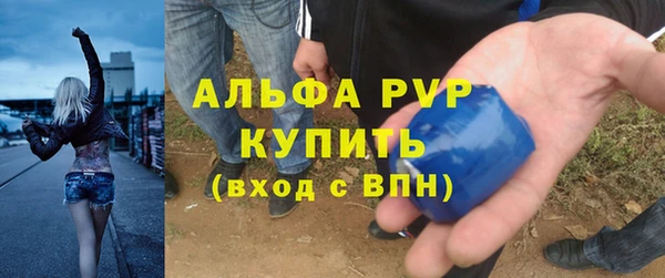 индика Лихославль